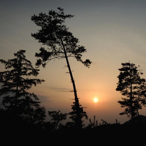 SE-5a257a5c-c7b2-4854-8e57-378bec692b29.jpg?type=w1