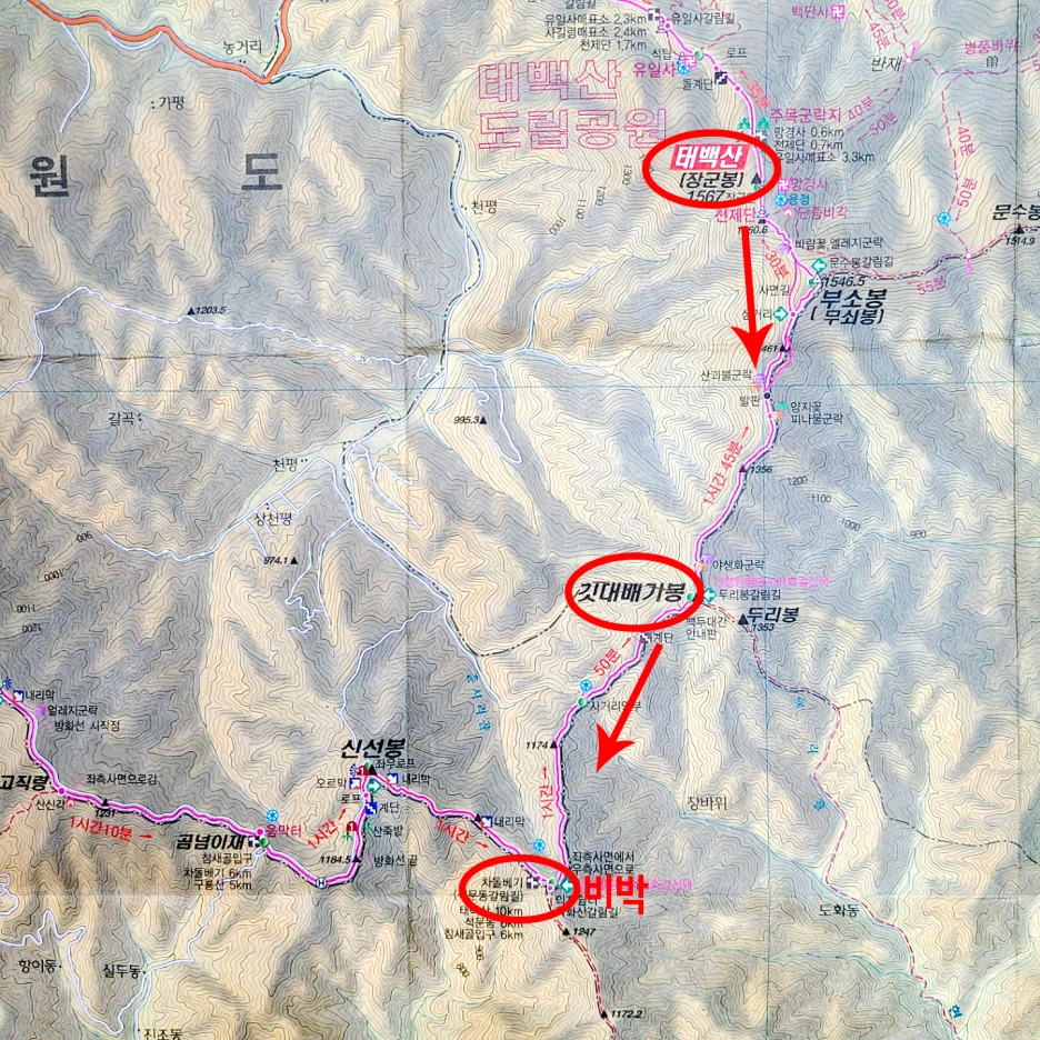 SE-a8d38394-e698-404f-a725-63f79433b9d1.png?type=w1