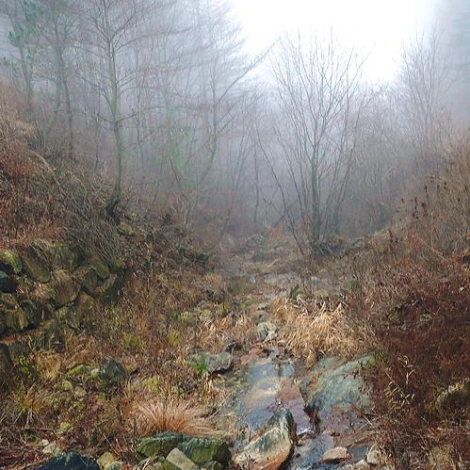 SE-8a13c8d3-ffc1-4b3e-a327-10a95ddd9819.jpg?type=w1