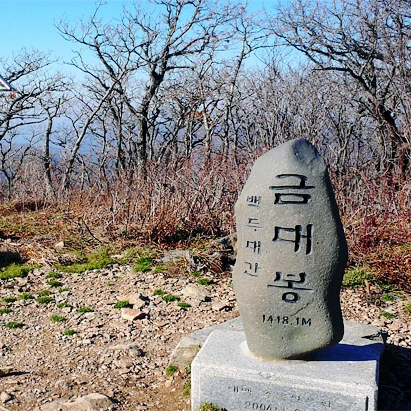 SE-bca290ea-e172-44ae-8671-6eb4aa8296dd.jpg?type=w1