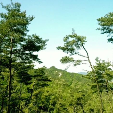 SE-023eea8d-94b6-414d-8bcd-085344e3d8b2.png?type=w1