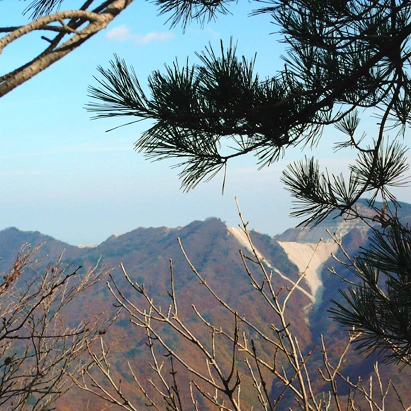 SE-009ec439-4227-4345-86f6-a591bfcdb162.jpg?type=w1