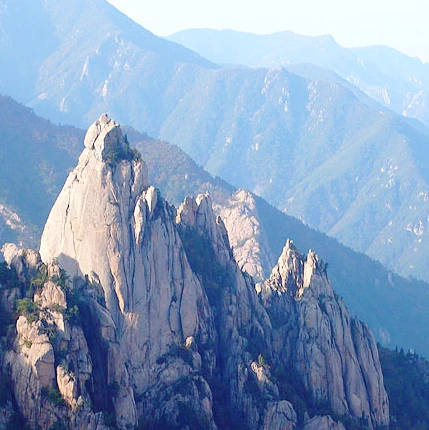 SE-2d3621f9-08db-470f-a2eb-69310ceb1598.jpg?type=w1