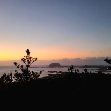 SE-7d4646ed-442c-11ec-b81c-97c4d47d542b.jpg?type=w1