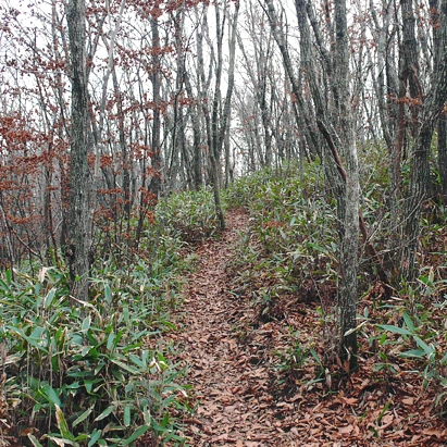 SE-9351bbf6-80f0-4530-9e7e-2f0a24df33e5.jpg?type=w1