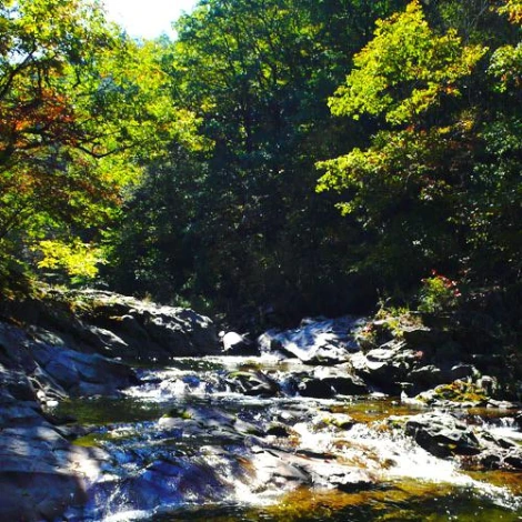 SE-0d897417-2fc6-4017-8126-a34ef5d2c349.jpg?type=w1