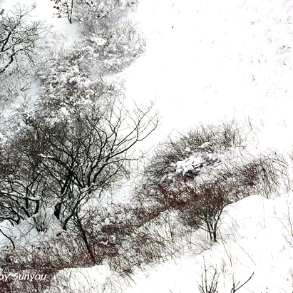 SE-2d62ea6f-ea7e-4841-b1de-76984f9cd36e.jpg?type=w1