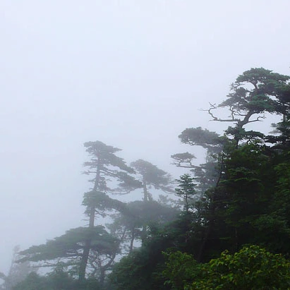 SE-8eb7b888-c47f-4347-99a1-a638c3957e1d.jpg?type=w1