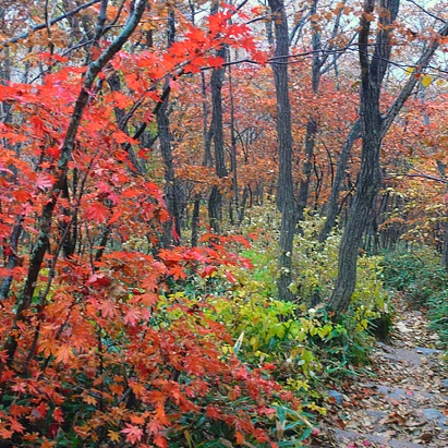 SE-f22bb9c9-900a-4713-89ec-2874bf33d452.jpg?type=w1