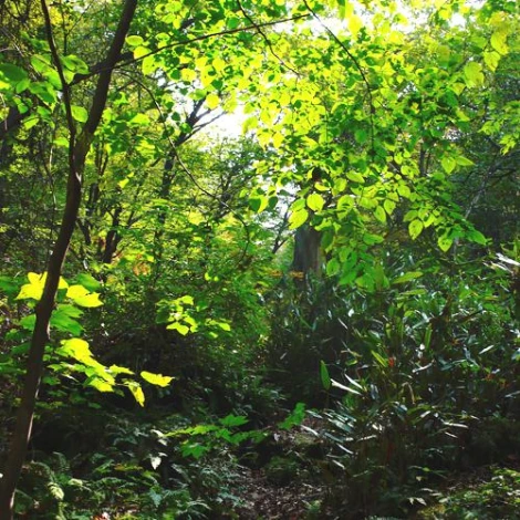 SE-947a5231-1516-4190-8d14-2b7936513cff.jpg?type=w1