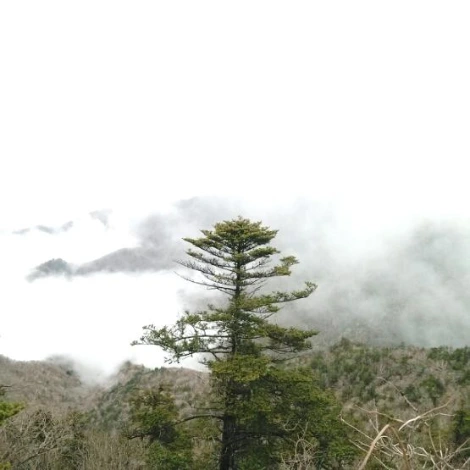 SE-546f2fe7-42ab-4463-a74c-d870aeb24bff.jpg?type=w1