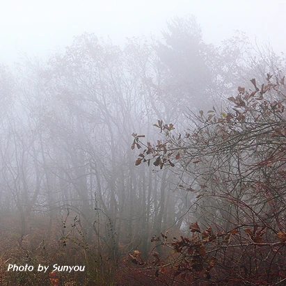 SE-d2e8fe49-da3e-4c8c-9493-11d0d07af79e.jpg?type=w1