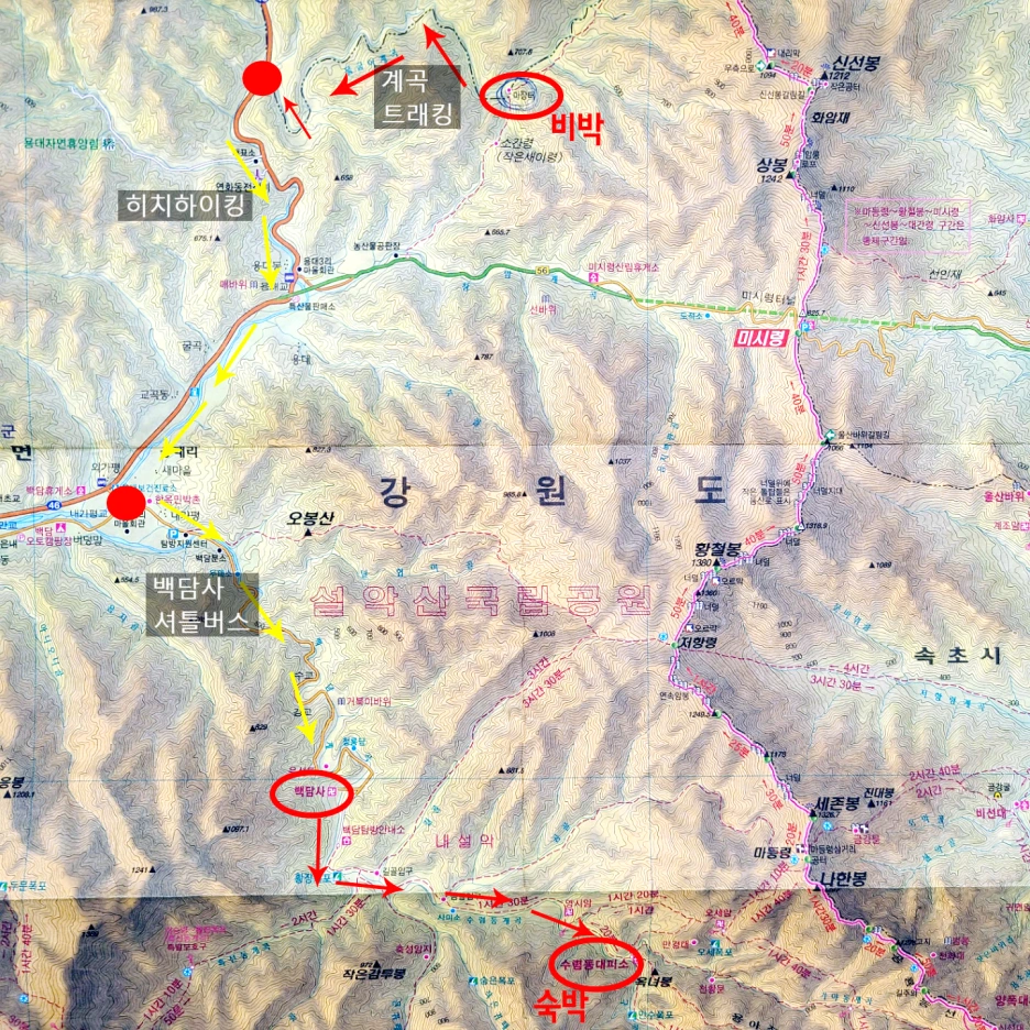 SE-24d90b1c-ff51-474f-9389-40006989f522.png?type=w1