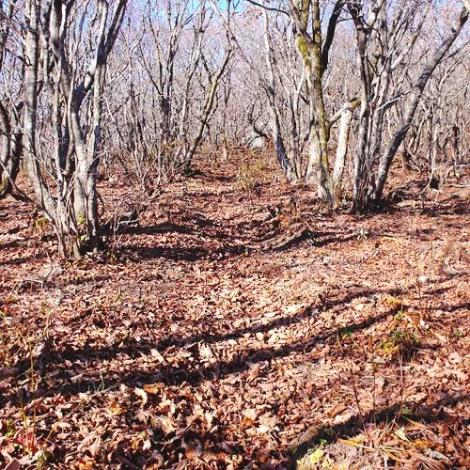 SE-933dde77-adef-498f-ab0b-20c5f813a7ee.jpg?type=w1