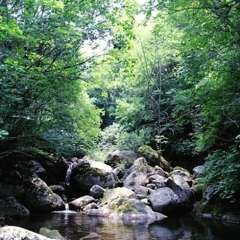 SE-6bdcd63f-1831-49fa-8ae8-826c59193eb7.jpg?type=w1