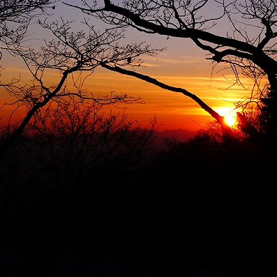 SE-bad46d15-4d03-46c1-b7d8-a0236bdb395c.jpg?type=w1