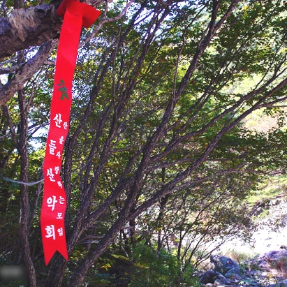 SE-f34a04c4-c6fc-4f70-aaa1-77244413077a.jpg?type=w1