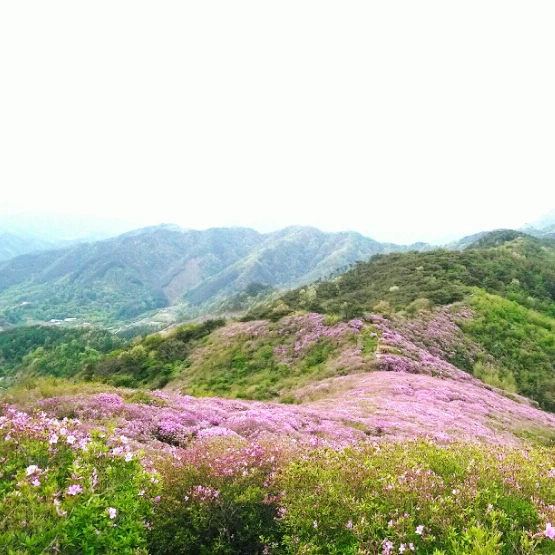 SE-7e98608d-fd68-467f-be8c-c6bed0a54dac.jpg?type=w1