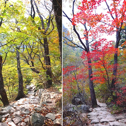 SE-a0d2cb86-b66f-43d9-8af6-502fbf34e060.jpg?type=w1