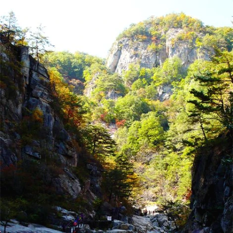 SE-045f3ee5-c827-4ac1-8756-bb9cd56c79be.jpg?type=w1