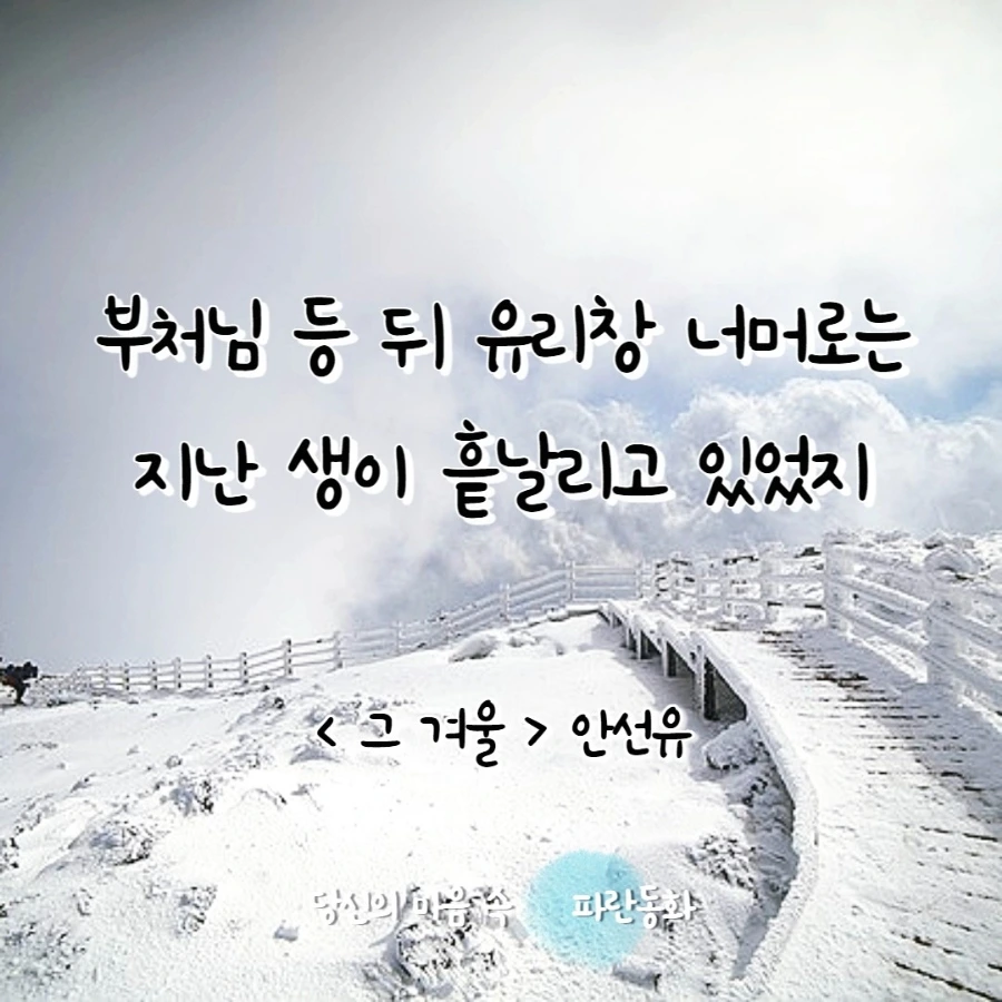 1676953385505.jpg?type=w1