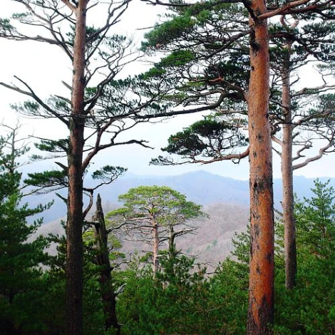 SE-c539ec08-6931-4a9b-ac5f-43fedf324953.jpg?type=w1