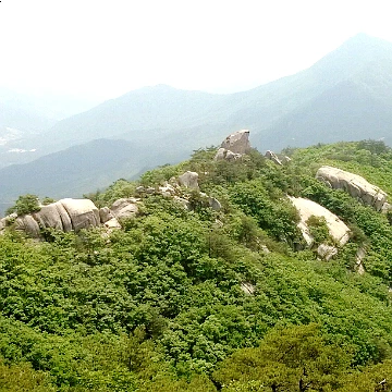 SE-f20e33fb-952c-4729-9131-a5cf73006672.jpg?type=w1