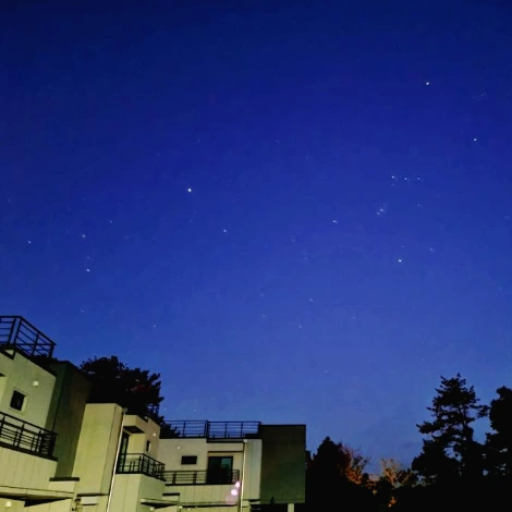 SE-7d45f8cc-442c-11ec-b81c-1de1917a6df6.jpg?type=w1