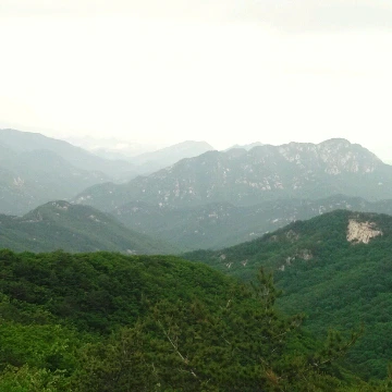 SE-0b6f59b4-19a9-490f-97f1-23d872d80bdc.jpg?type=w1