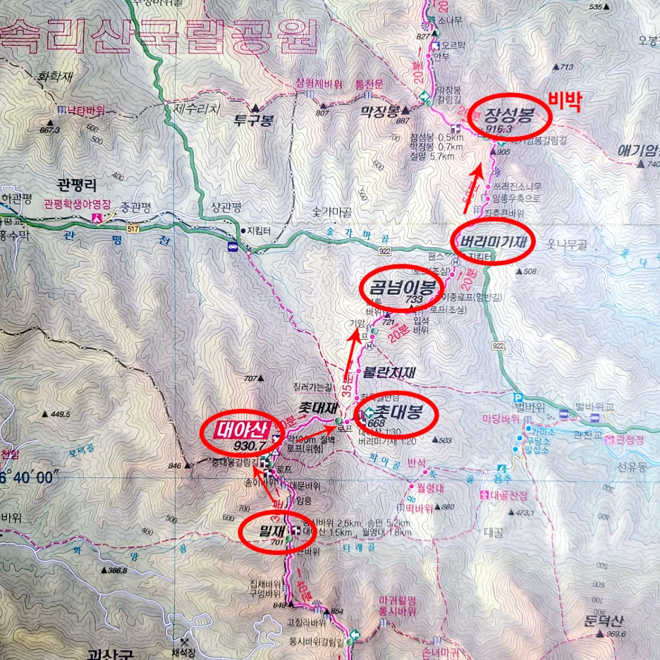 SE-98b2d6c2-f7dc-46a3-a477-2d5e7f458535.png?type=w1