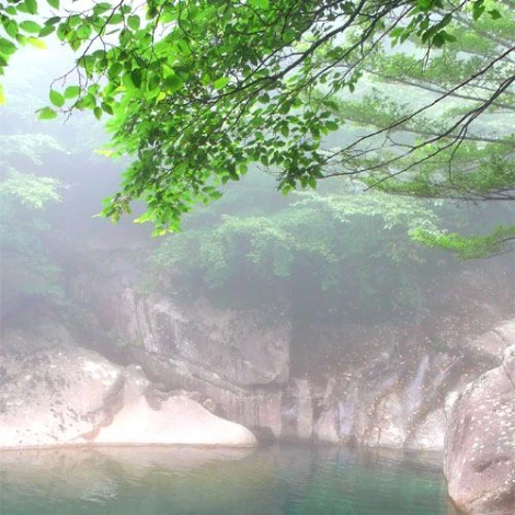 SE-2ad9411e-7099-4ac9-813e-a457f99f0c30.jpg?type=w1