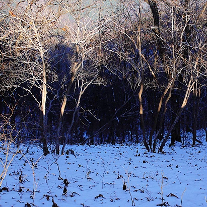 SE-a4c7b10c-086e-465d-8e86-ff42e3d3c3fe.jpg?type=w1