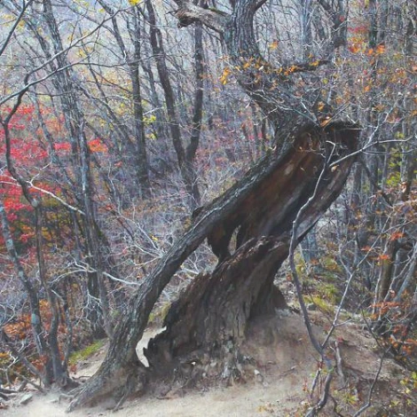 SE-f288725d-6881-4fb9-9c2b-2b4acd333e1e.jpg?type=w1