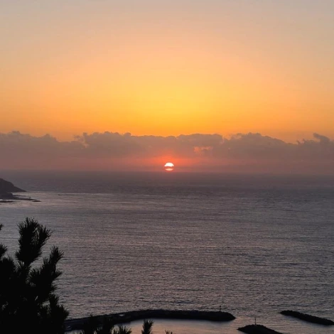 SE-7d47cd90-442c-11ec-b81c-83c9dd0d9467.jpg?type=w1