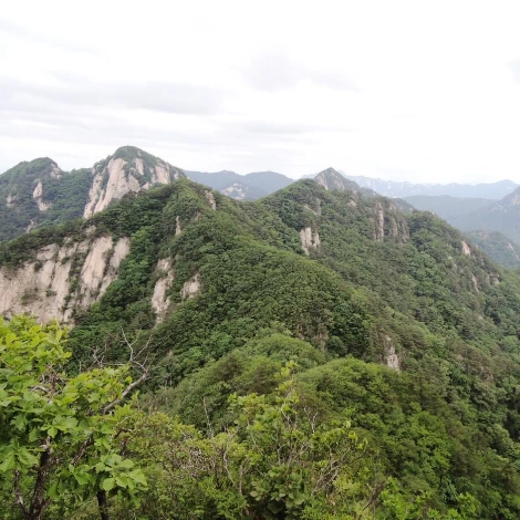 SE-d249df4b-dd8b-42ab-ba62-8c8d2983a456.jpg?type=w1