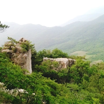 SE-e434be62-b979-4588-a8f6-32bd4fc0c783.jpg?type=w1