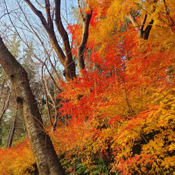 SE-78bff4ff-5a1d-11ec-bea8-f1ab3061c7b4.jpg?type=w1