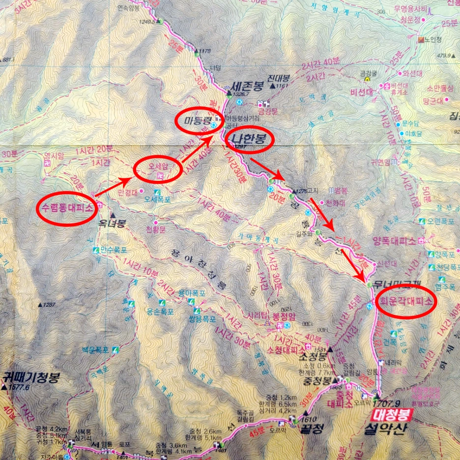 SE-2966c6da-e9fd-4b6f-a353-896cf9f7f1a8.png?type=w1