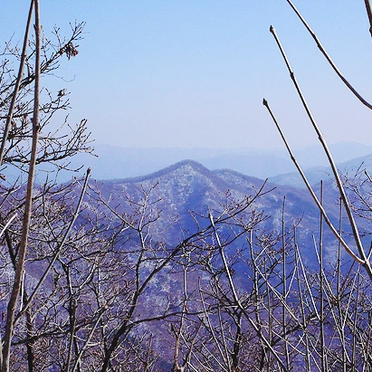 SE-c3922f68-9b67-400e-ab7d-089c05a9af0c.jpg?type=w1