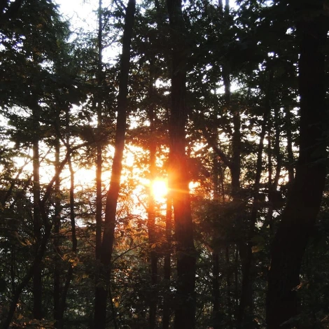 SE-5df1e6e7-9a1c-4f8b-84b9-28dfaa335d69.jpg?type=w1