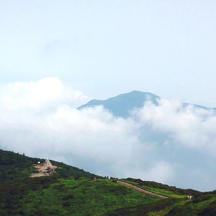 SE-2965a612-4bdb-419d-bc90-342ec65c840a.jpg?type=w1