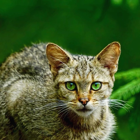 SE-3dda7cff-d6ee-4c98-9c03-3291c7bf4a09.jpg?type=w1