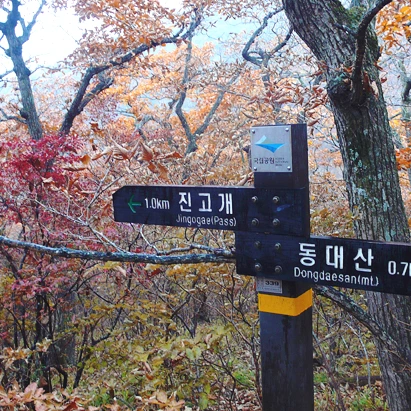 SE-bf0aa5f8-032d-43f1-b72e-6e1f35add847.jpg?type=w1