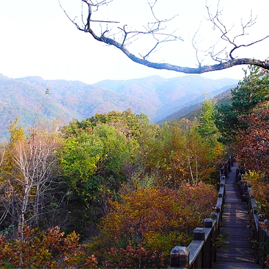 SE-23a77d7a-a4b8-4f58-8c10-aabd15a34e4c.jpg?type=w1