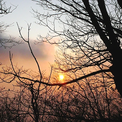 SE-7d4aef02-5247-466c-afbf-b3f8c170e35c.jpg?type=w1