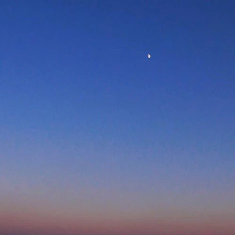 SE-22a1f359-2dc2-4253-bc9f-133cb2fde274.jpg?type=w1