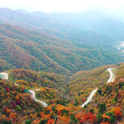 SE-5b051862-04fc-44c0-aefb-ddabea7ddb29.jpg?type=w1