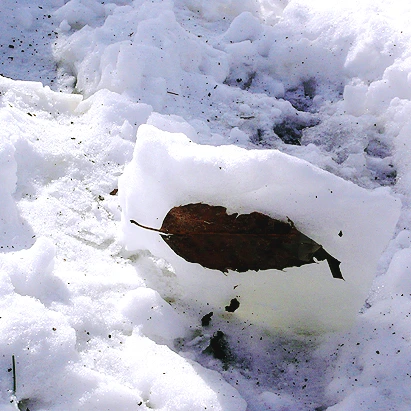 SE-957d0d1a-c777-4fe5-8f8a-68c0a67f11e5.jpg?type=w1