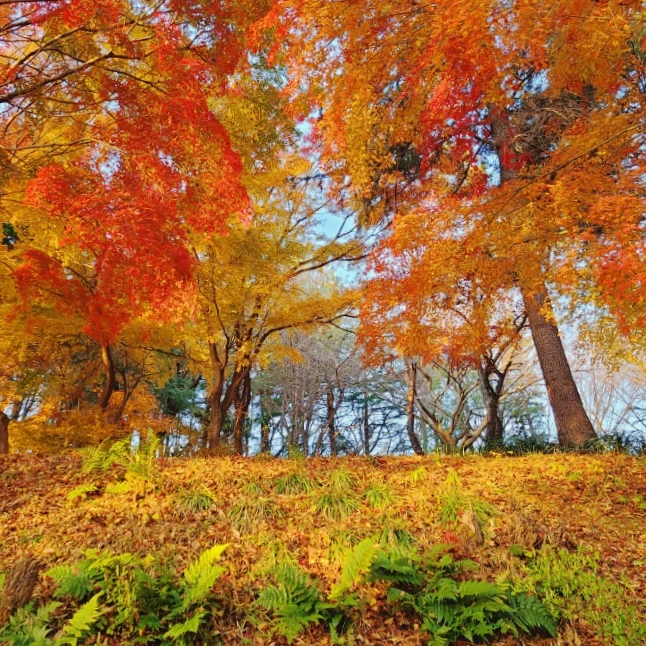 SE-78bf31ad-5a1d-11ec-bea8-af2ddadae961.jpg?type=w1