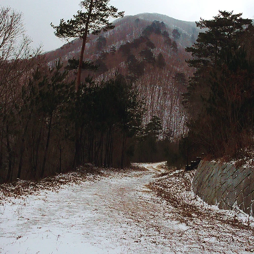 SE-1100184d-2d7e-4352-857b-63d900ac1197.jpg?type=w1